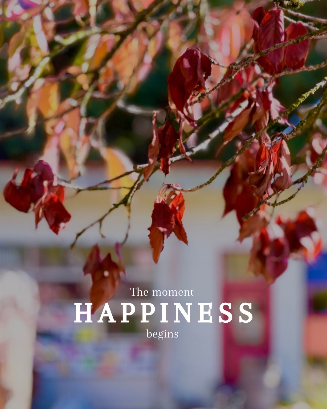 The Moment Happiness Begins