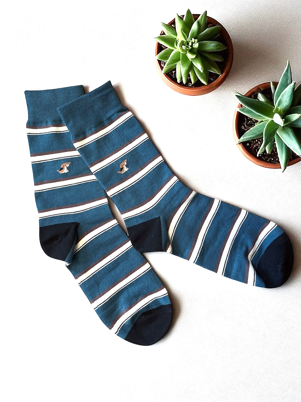 4-Pack Doggy Stripe Gift Set