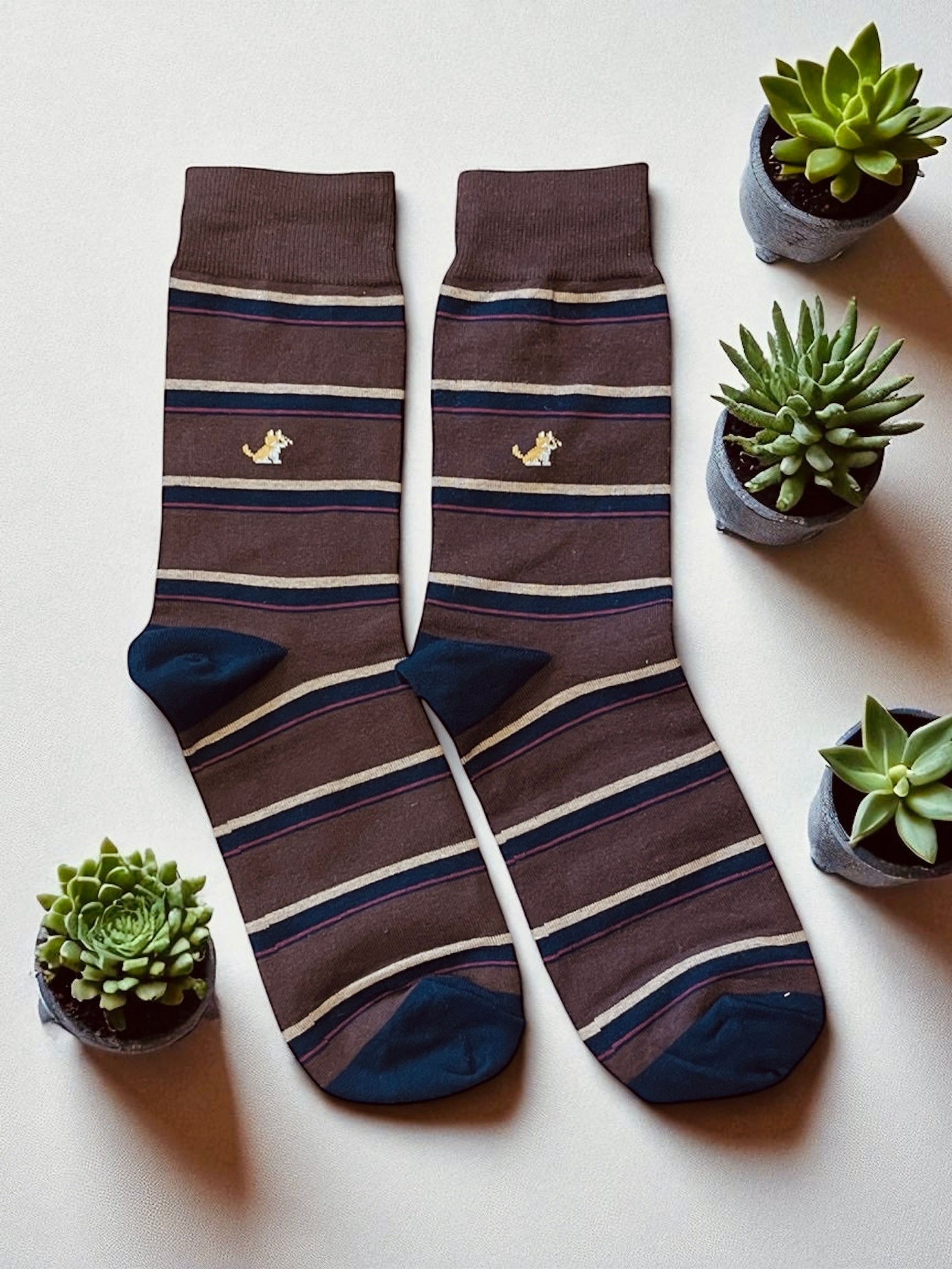 4-Pack Doggy Stripe Gift Set