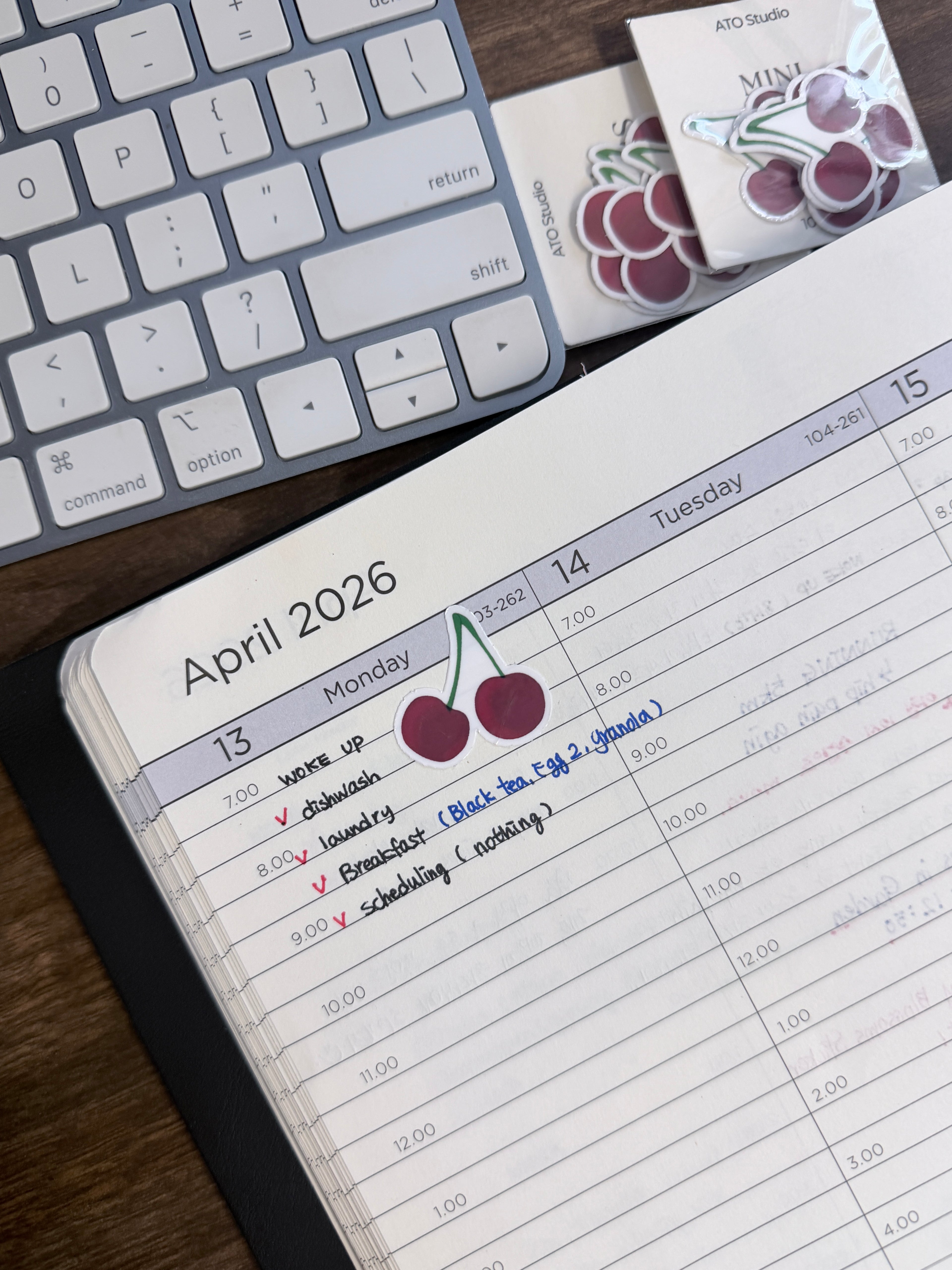 Cherry Mini Sticker Pack | Pack of 10