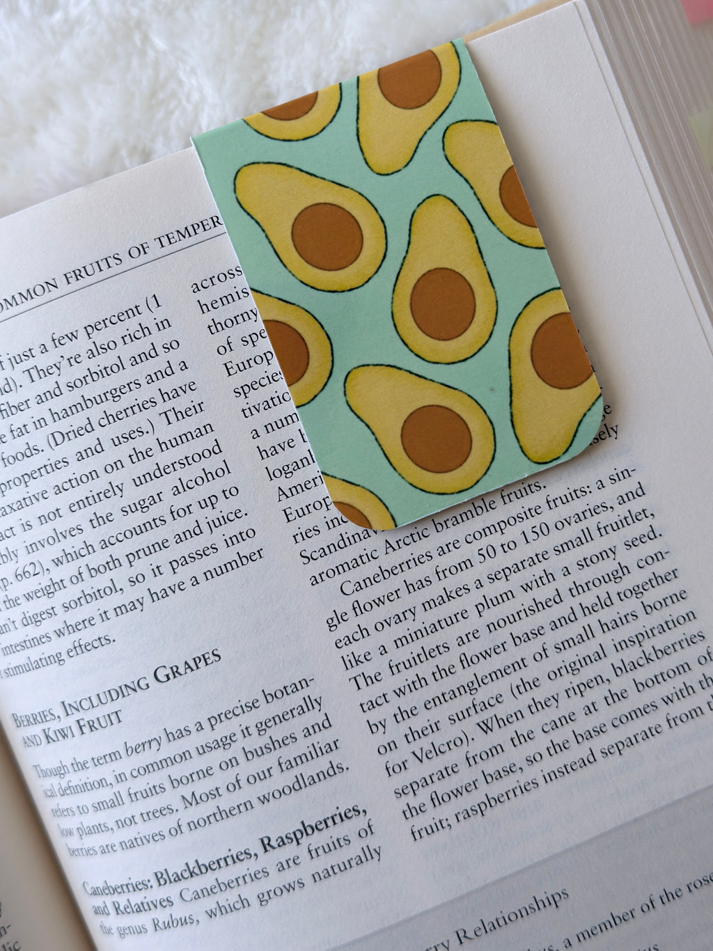 Avocado Magnetic Bookmark