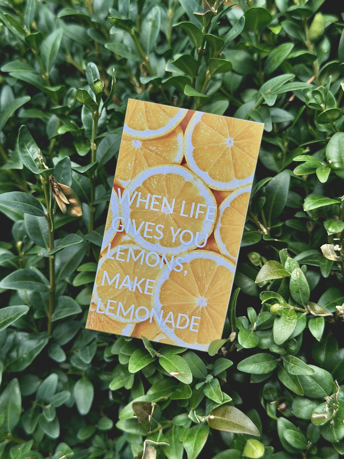Mini Photo Card - When life gives you lemon, make lemonade