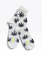 Weedy, 2 colours