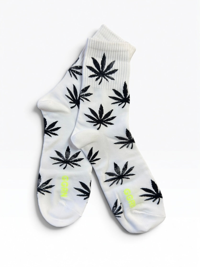 Weedy, 2 colours