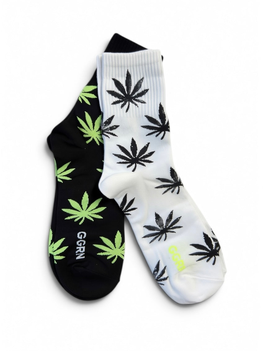 Weedy, 2 colours