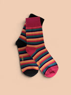 Rainbow Stripe, 2 colours