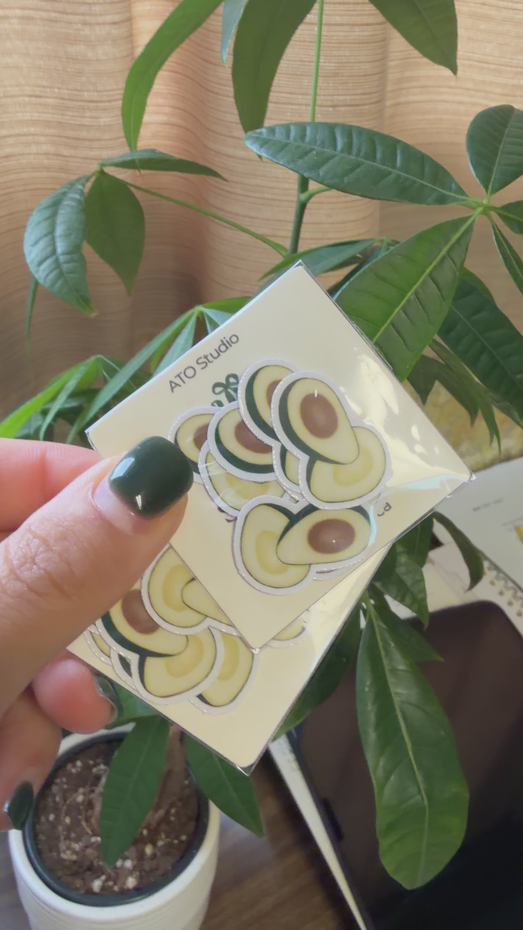 Avocado Mini Sticker Pack | Pack of 10
