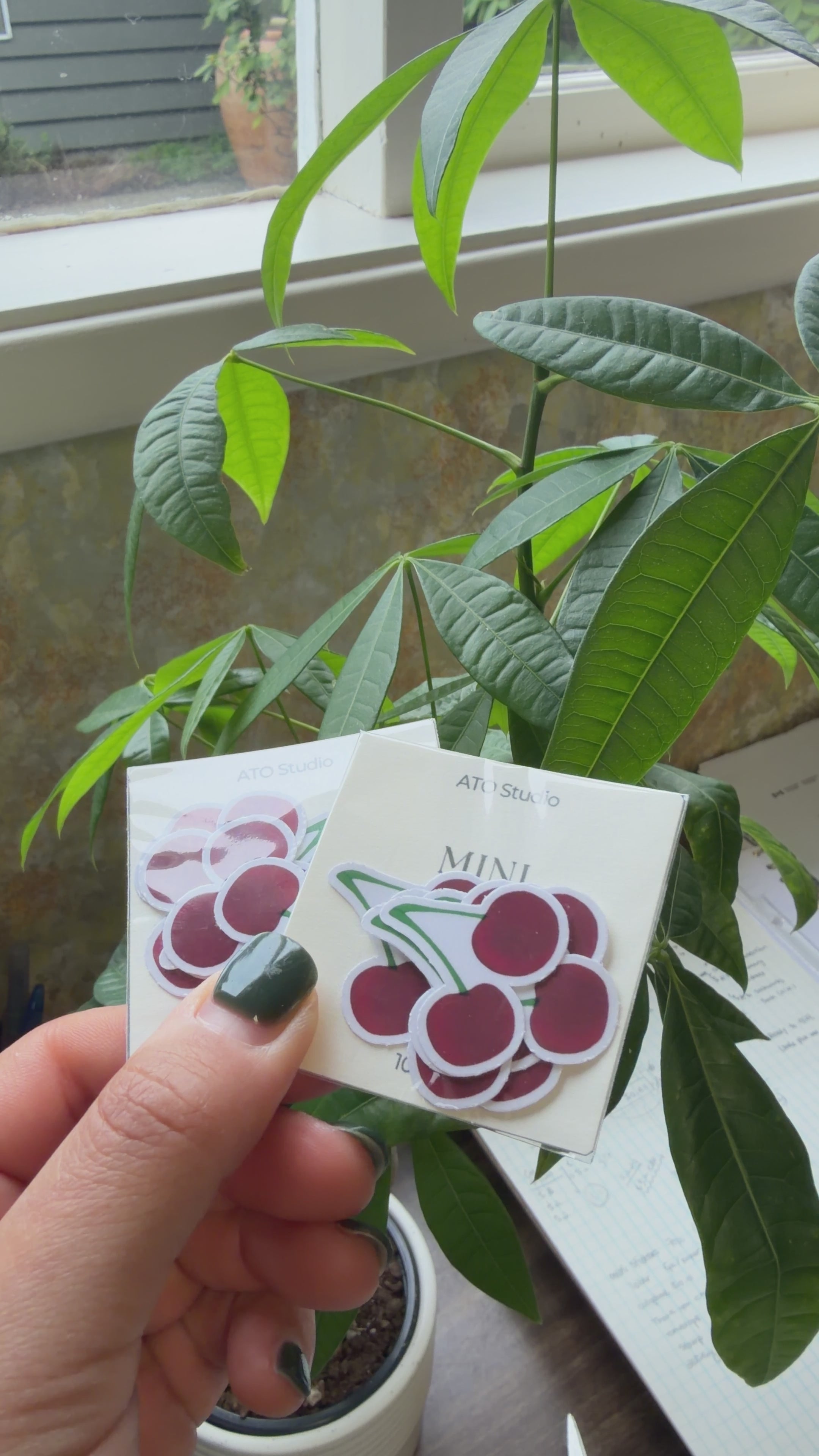 Cherry Mini Sticker Pack | Pack of 10